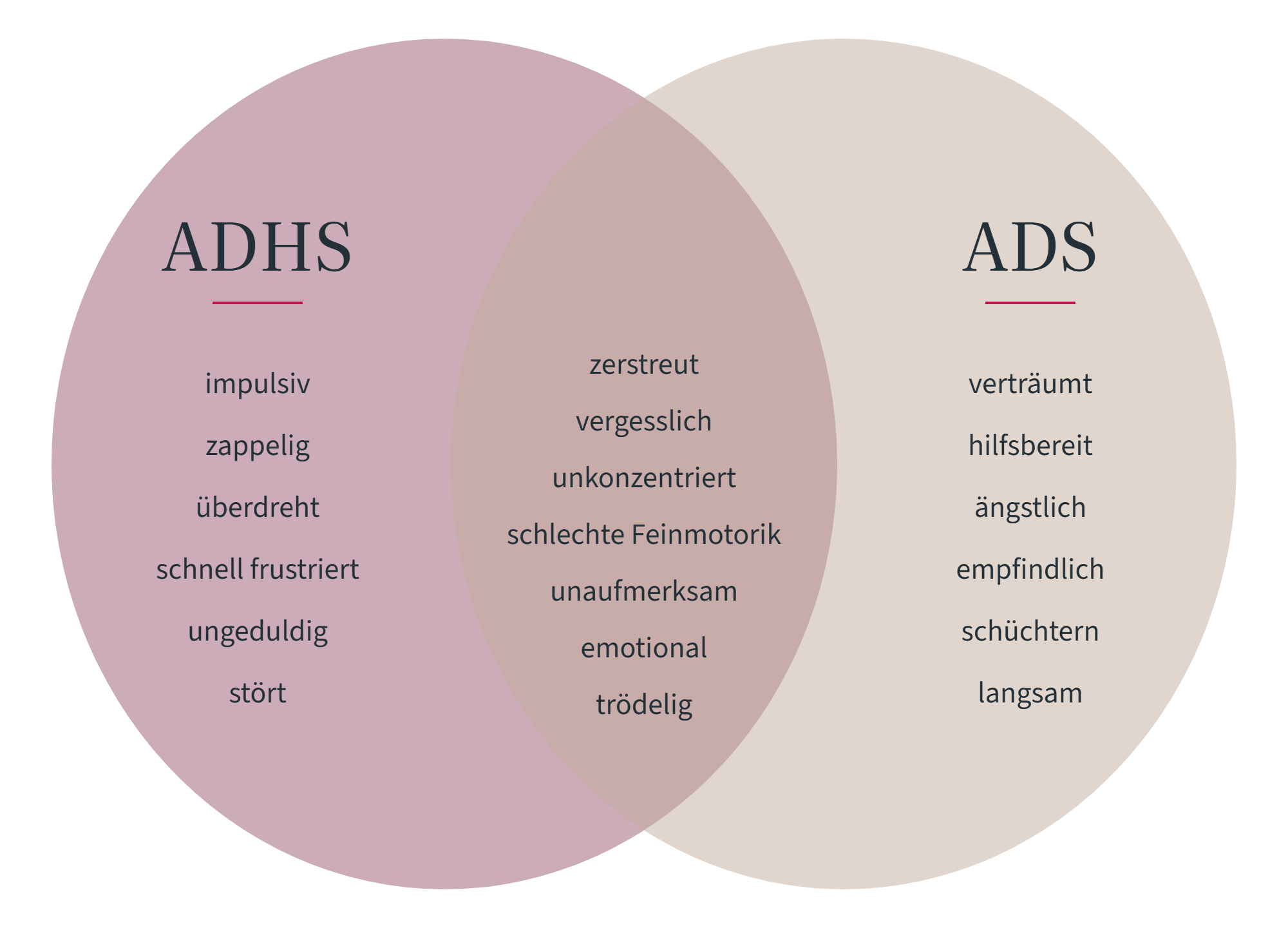 Venn-Diagramm mit zwei überlappenden Kreisen: links ADHS (impulsiv, zappelig, überdreht, schnell frustriert, ungeduldig, stört), rechts ADS (verträumt, hilfsbereit, ängstlich, empfindlich, schüchtern, langsam), in der Schnittmenge gemeinsame Merkmale wie zerstreut, vergesslich, unkonzentriert, schlechte Feinmotorik, unaufmerksam, emotional und trödelig